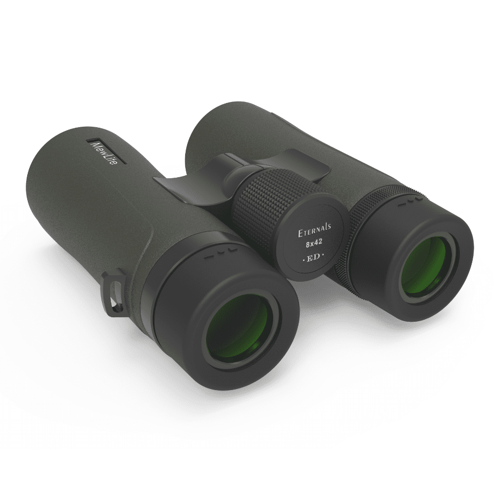 Бинокль оптический MewLite Eternals 8x42 ED Roof