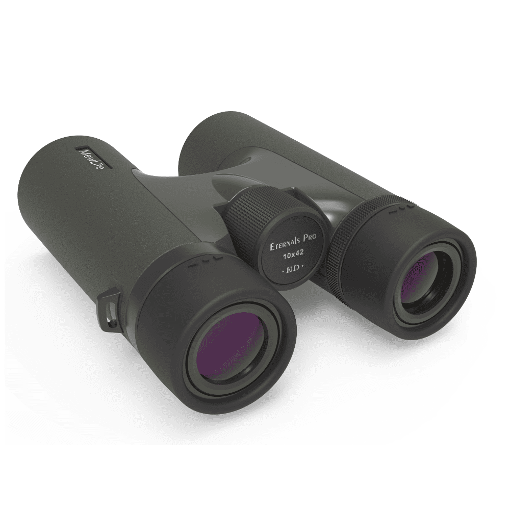 Бинокль оптический MewLite Eternals Pro 10x42 ED Roof